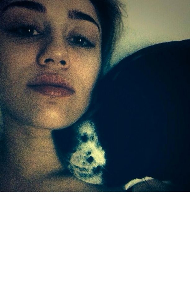 Miley Cyrus Gives This Dog Some Serious Bed Snuggles, 2014