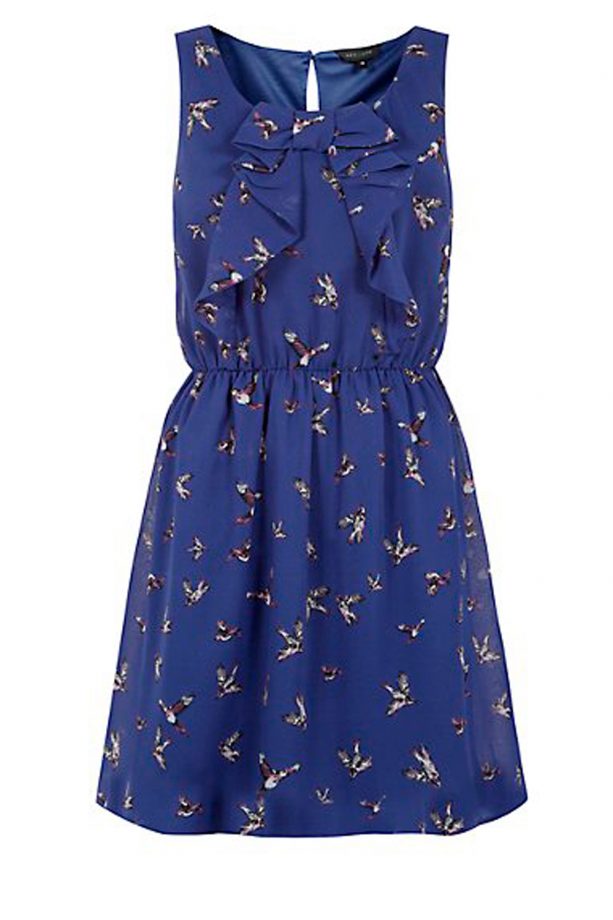 New Look Blue Bird Print Bow Skater Dress, £22.99