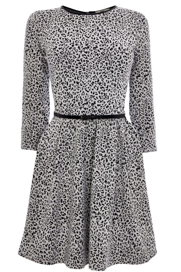 Oasis Animal Jacquard Dress, £42