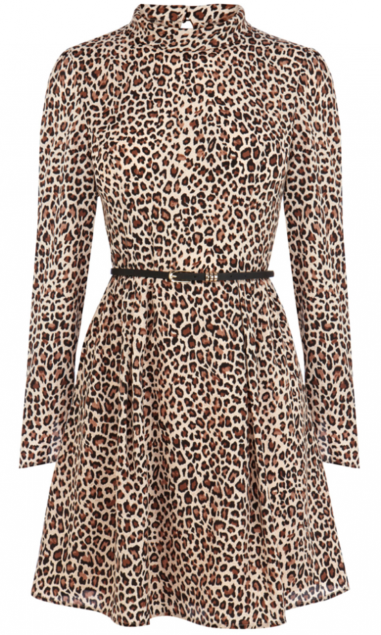 Oasis Leopard Dress, £58