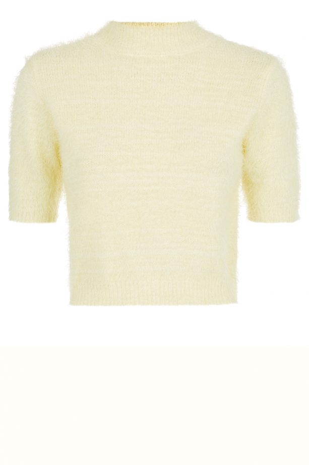 Primark Lemon Feather Crop, £10