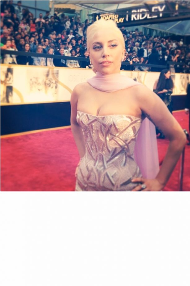 Lady Gaga At The Oscars, 2014