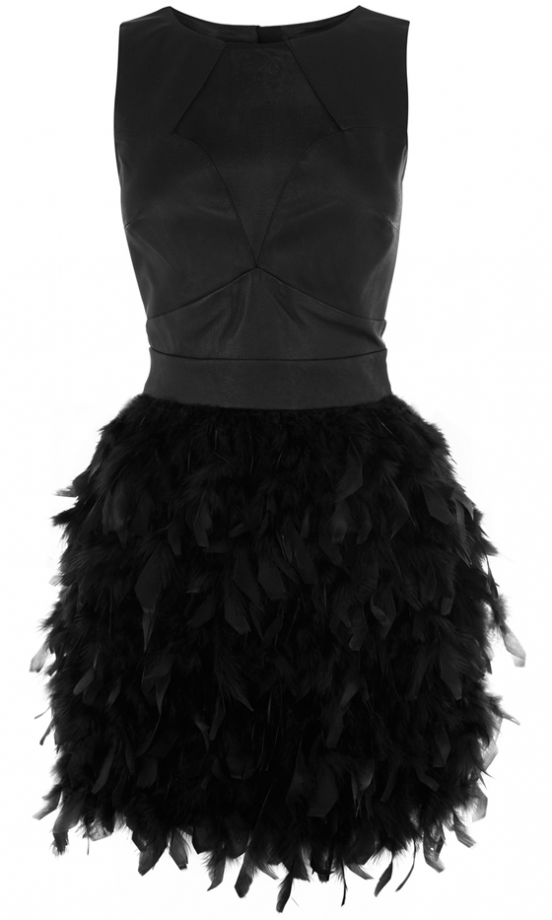 Warehouse Leather And Feather Dress, £160