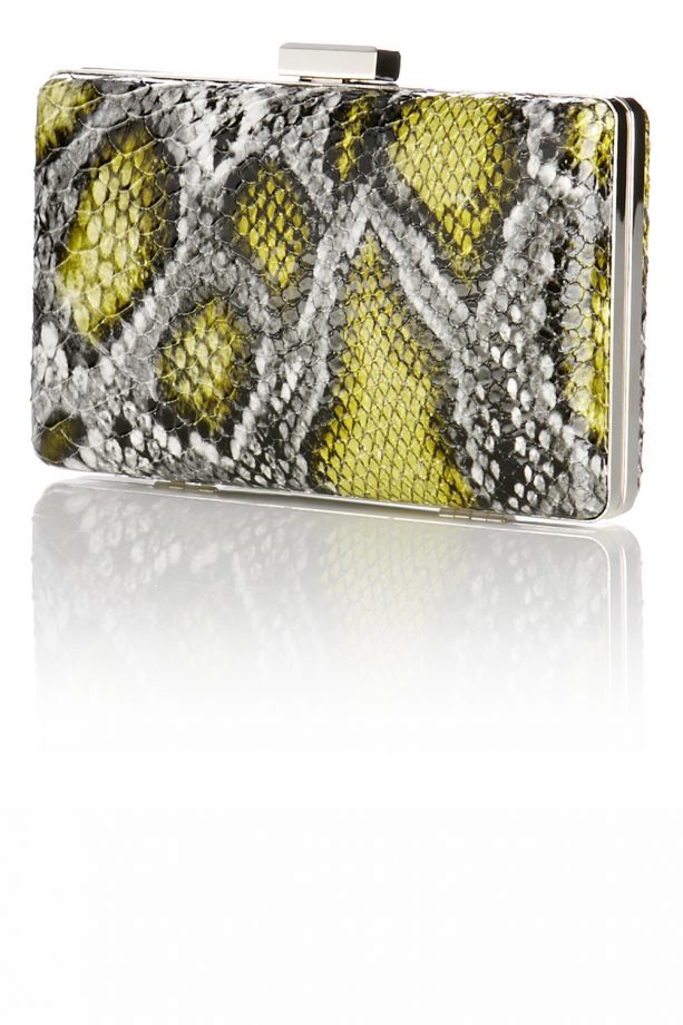 Warehouse SS14 Preview: Snakeskin Hard Clutch