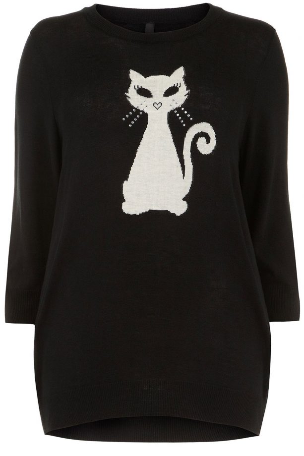 Evans Black Cat Motif Jumper, £35