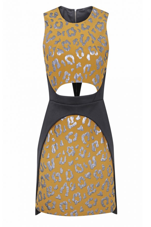 Topshop Leopard Print Mini Dress, £75