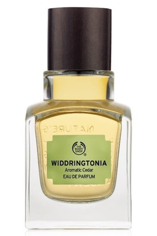 perfume