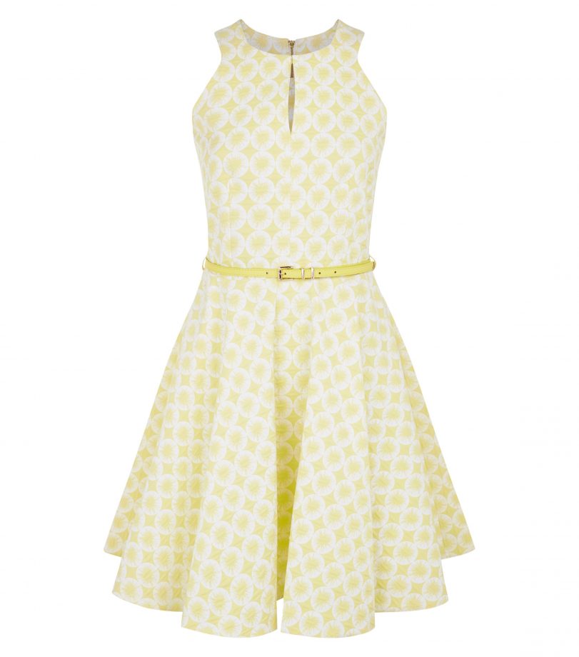 New Look Dandelion Print Split Neck Skater Dress £55