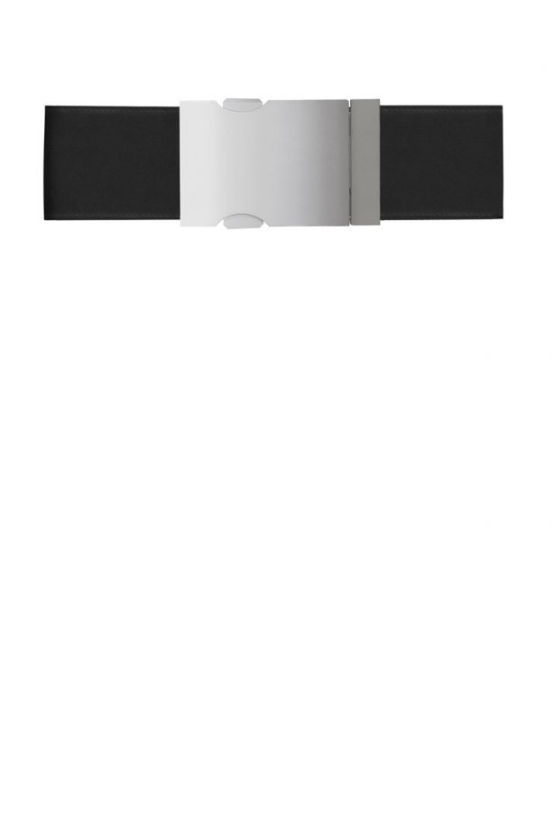 Alexander Wang X H&M Belt, £49.99