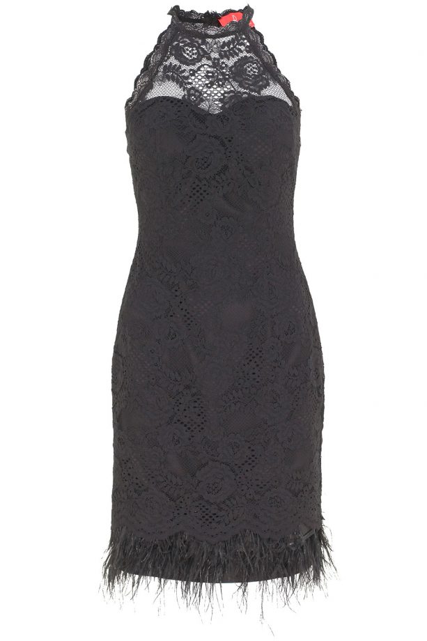 Rosie Fortescue For Lipstick Boutique Cannes Lace Feather Dress, £75