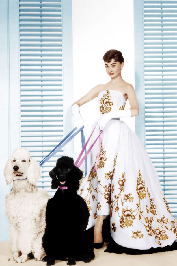 Audrey Hepburn Poses With Pooches For The Film 'Sabrina' Featuring Hollywood Legend Humphrey Bogart, 1954