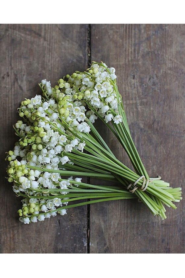 Go For A Stripped Back Bouquet With This Pretty Number