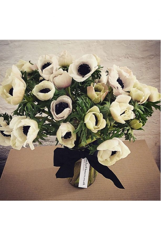 Black And White Anemones A Monochrome Double Hit