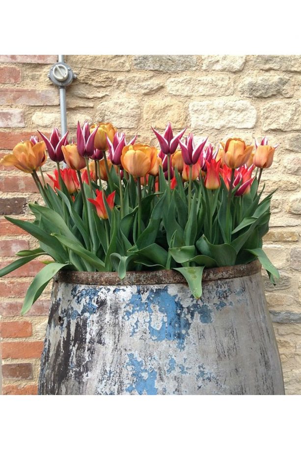 A Barrel Full Of Gorgeous Flowers, Works A Charm