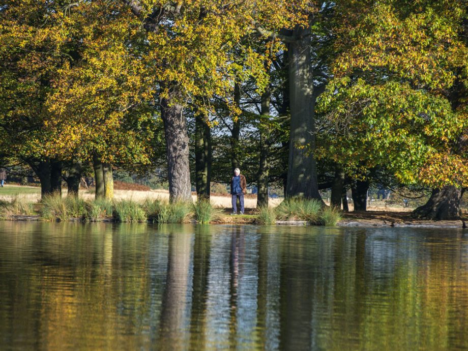 Richmond Park, London