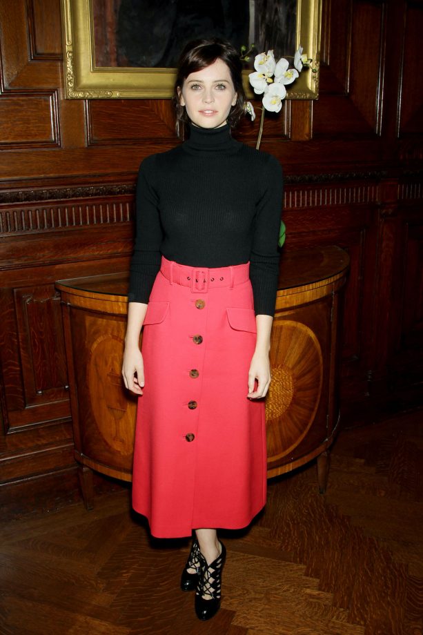 At 'The Theory Of Everything' Film Luncheon, New York - 2014