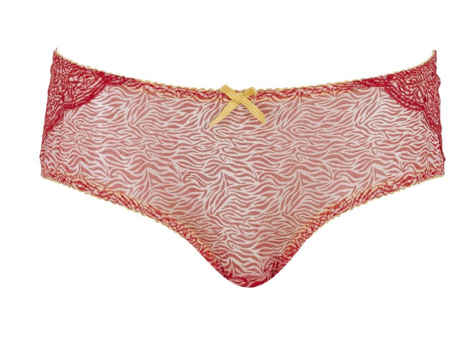 Curvy Kate Pink Knicker, £30