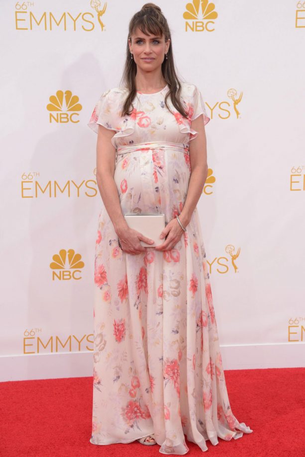 Amanda Peet In Giambattista Valli At The Emmy Awards, 2014