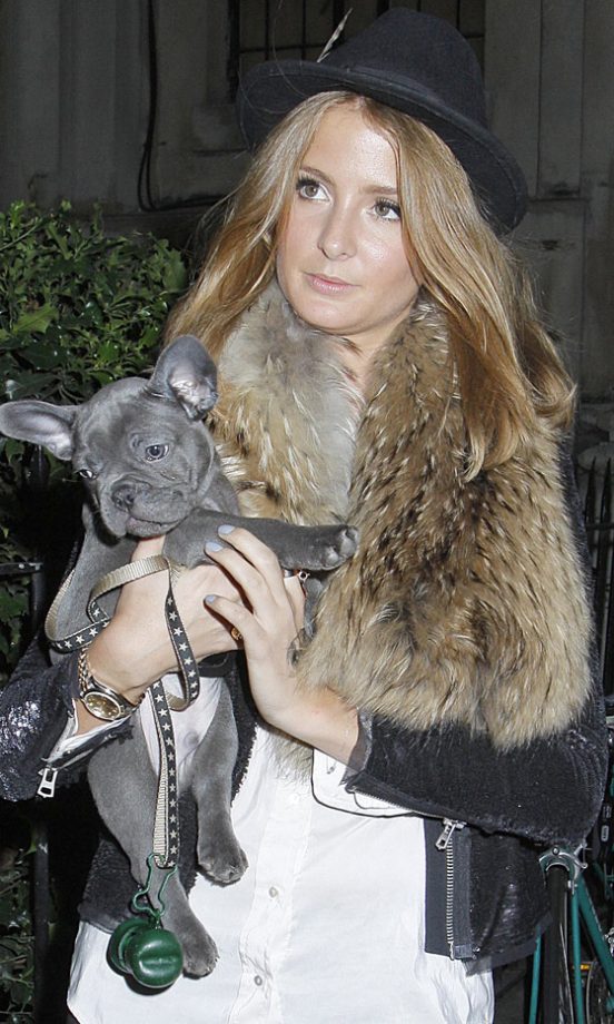 Made In Chelsea's Millie Mackintosh And Her Dog Herby Out In London, 2012