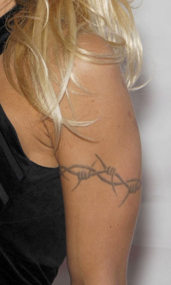Pamela Anderson's Barbed Wire, 2007