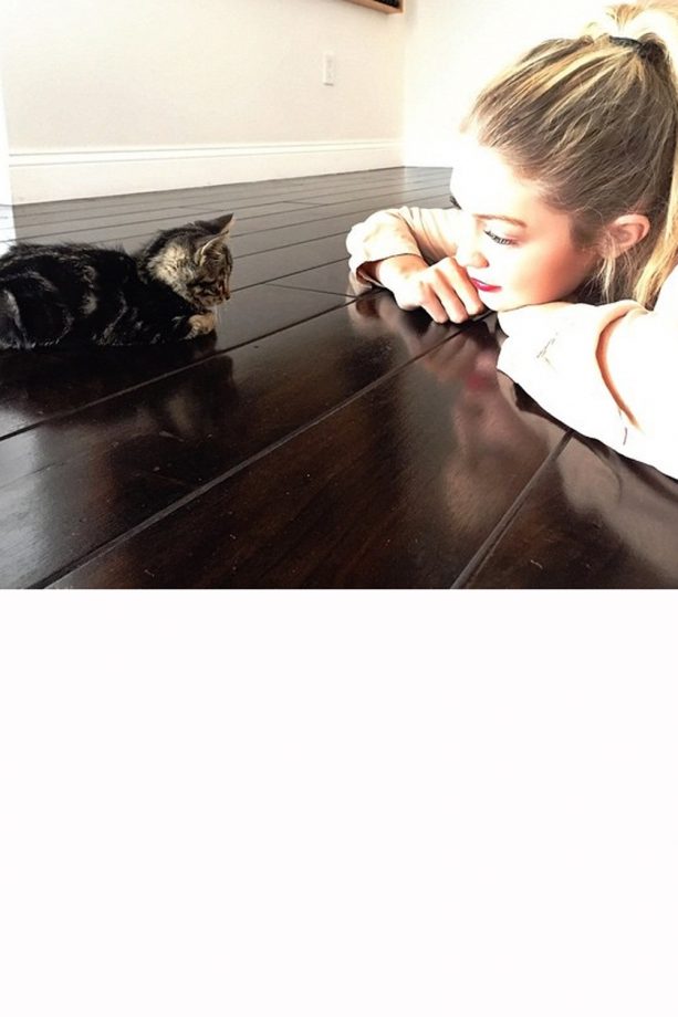 Gigi Hadid Is Totally Smitten With Her New Adopted Kitten, 2015