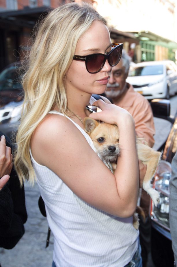 Jennifer Lawrence Carries Her Dog Pippi Out Of Her NY Hotel, 2015