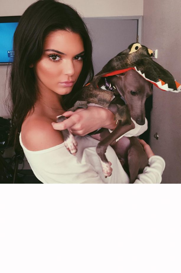 Kendall Jenner Steals Kylie's Pet Greyhound Norman For A Cuddle, 2015