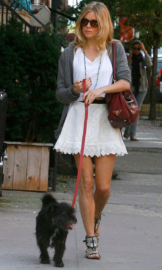 Sienna Miller Looks Cute In New York While Walking Her Dog, October 2009
