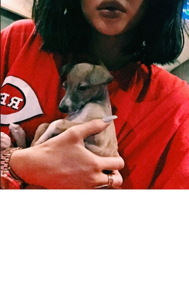 Kylie Jenner Cradles New Puppy Bambi, 2015