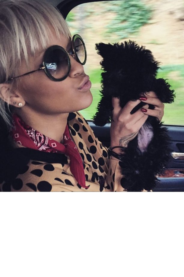 Rita Ora Hangs Out With Her Puppy Cher The Bear, 2015