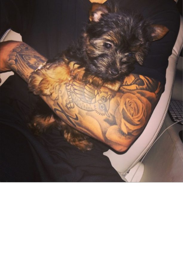Justin Bieber Introduces His Cute New Puppy Esther, 2015