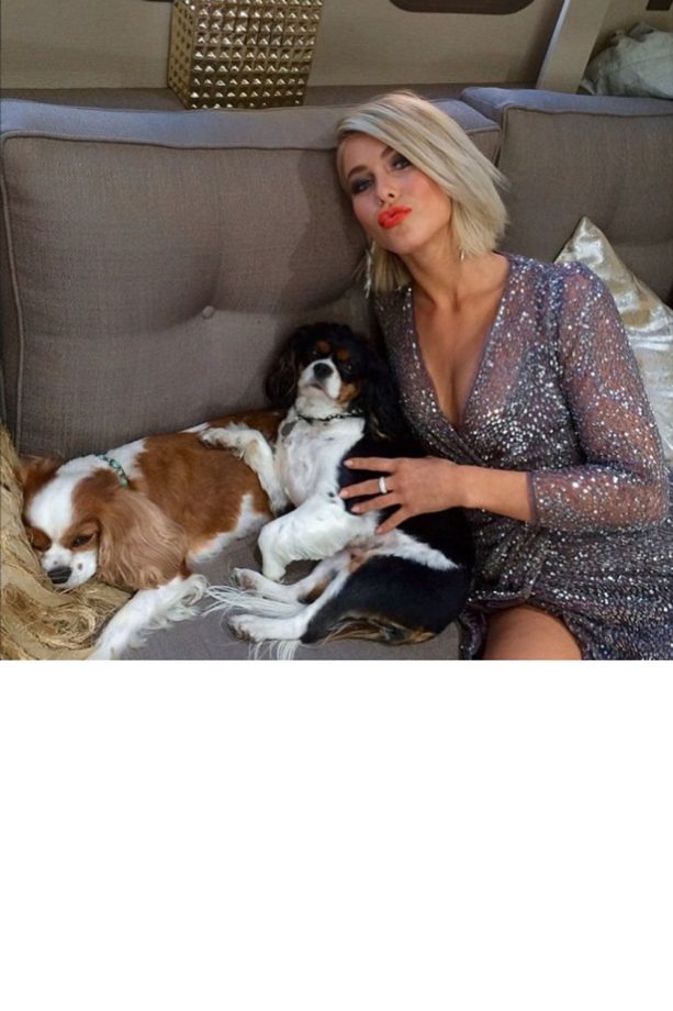 Julianne Hough Spends Some Time With Her Two Adorable Dogs Lexi And Harley, 2015