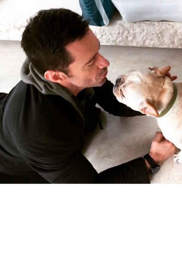 Hugh Jackman With One Of His Dogs, 2014
