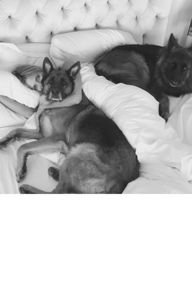 Heidi Klum Cuddles Up To Her Dogs Max And Freddie, 2015
