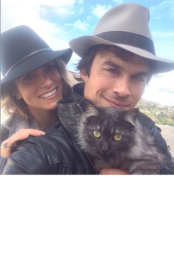 Ian Somerhalder And Nikki Reed Post This Snap To Introduce Their New Kitten Sohalia, 2014