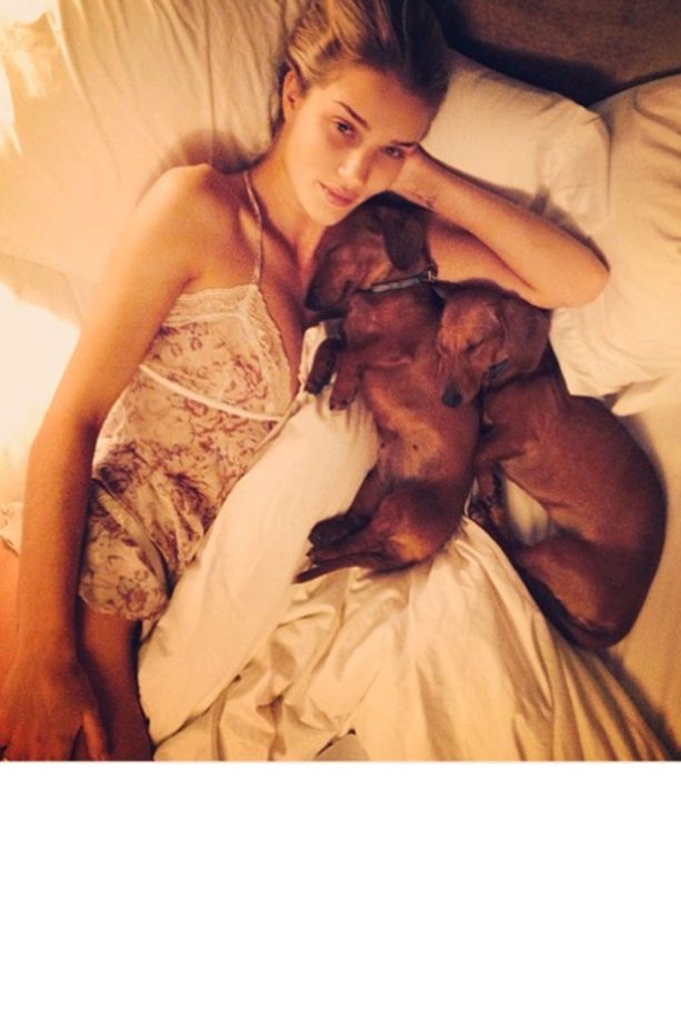 Rosie Huntington-Whitely Cosies Up To Her Pet Dachshunds Dolly And Peggy, 2014