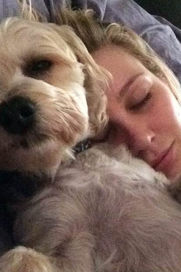 MIC's Stephanie Pratt Snuggles Down For Bedtime With Adorable Pet Dog Charlie, 2015