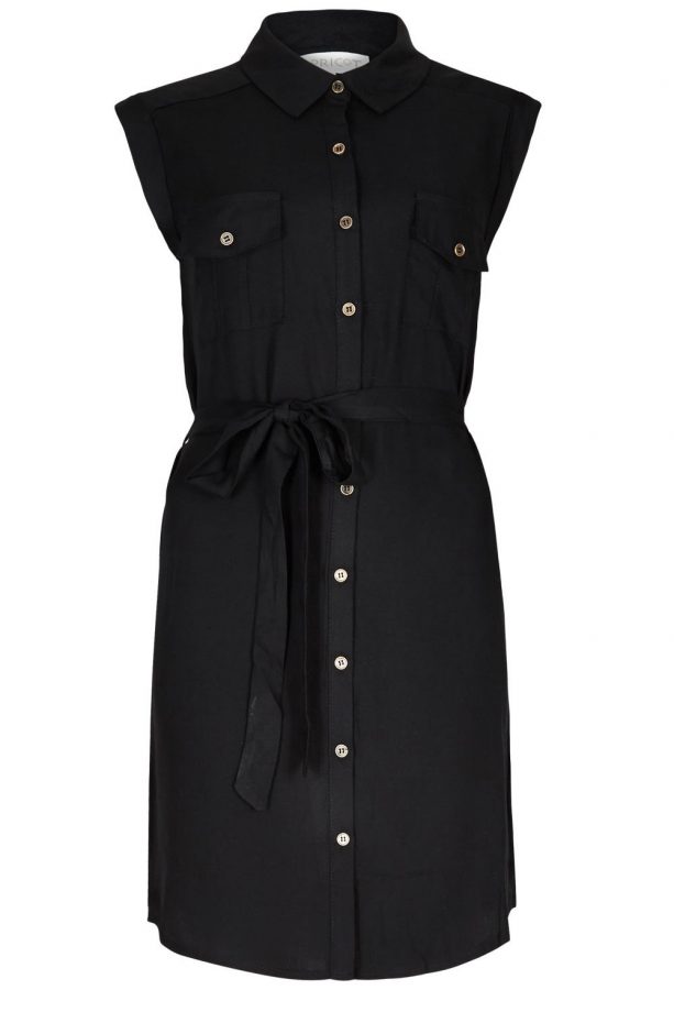 Apricot Button Front Shirt Dress, £29