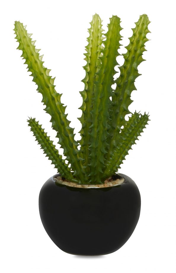 Primark Mixed Faux Plant £2