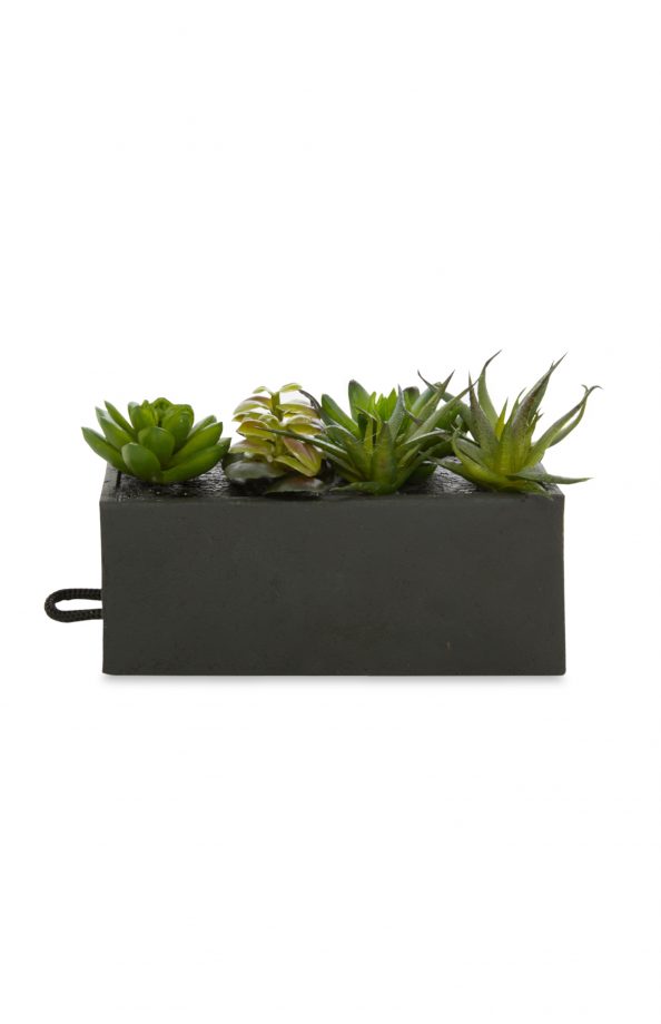 Primark Tray Faux Plants £5
