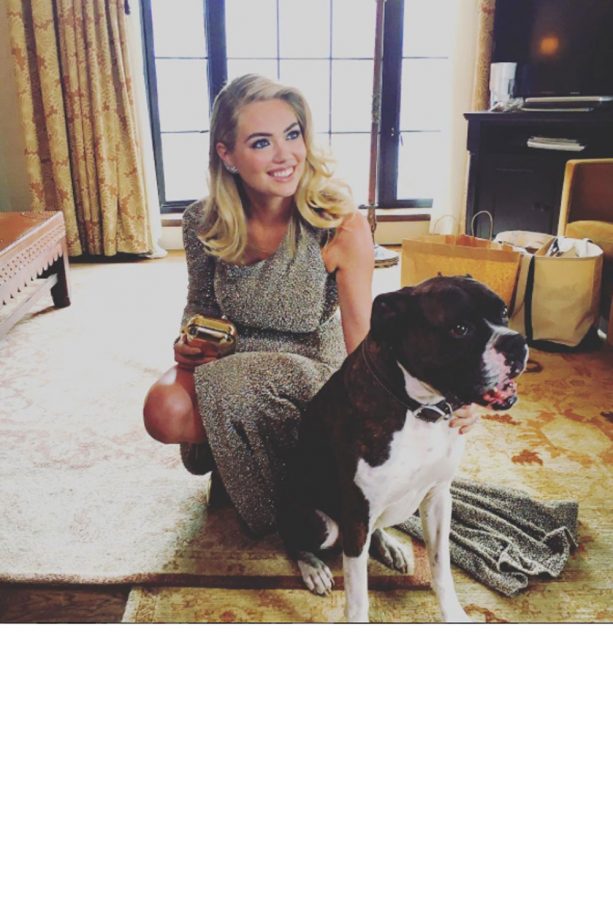Kate Upton And Her Furry Friend Pre-Red Carpet