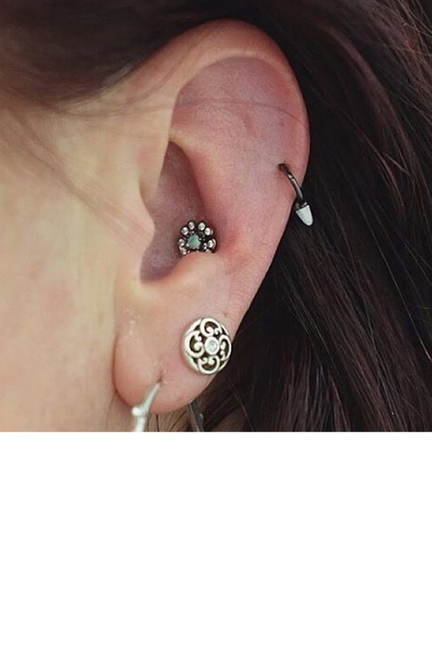Inner Conch Bling
