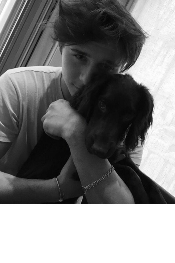 Brooklyn Beckham Cuddles Up To Pet Dog Olive, 2016