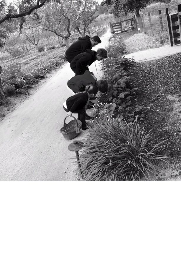 David Beckham Posts A Sweet Mother's Day Tribute To Wife Victoria Beckham In This Cute Pic Of The Beckham Brood, 2016