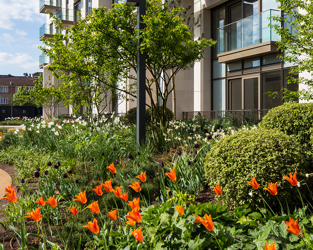 London outdoor spaces
