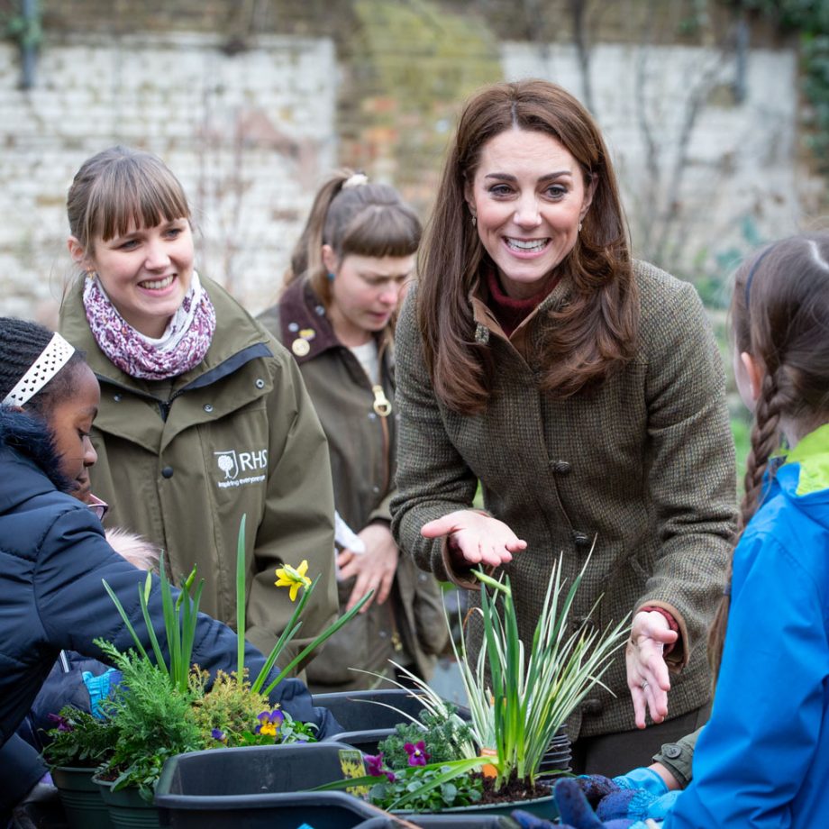 RHS Chelsea Flower Show