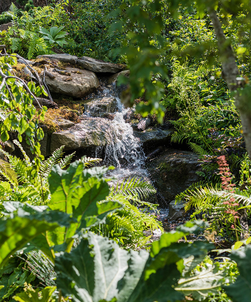 Back to Nature garden
