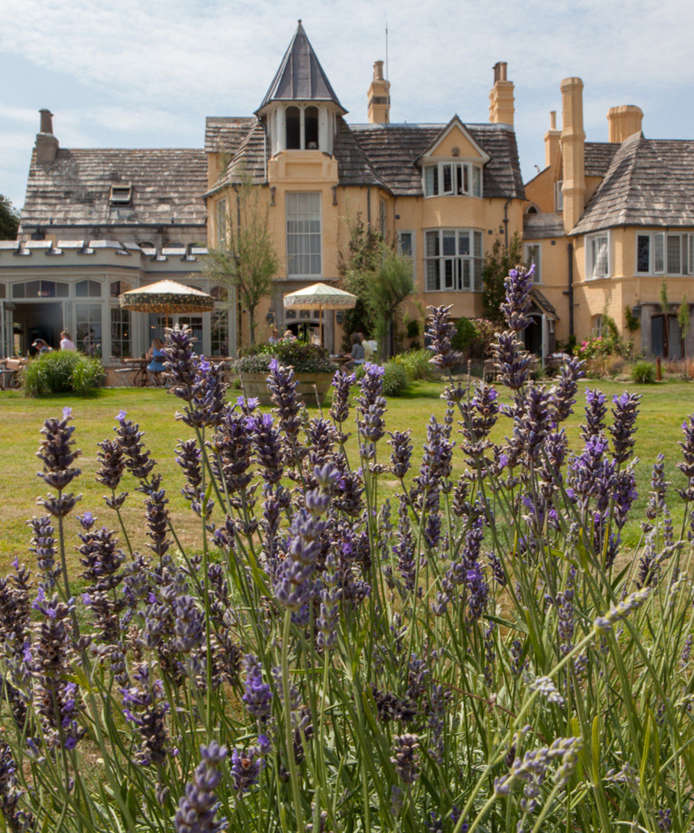 The Pig Hotel