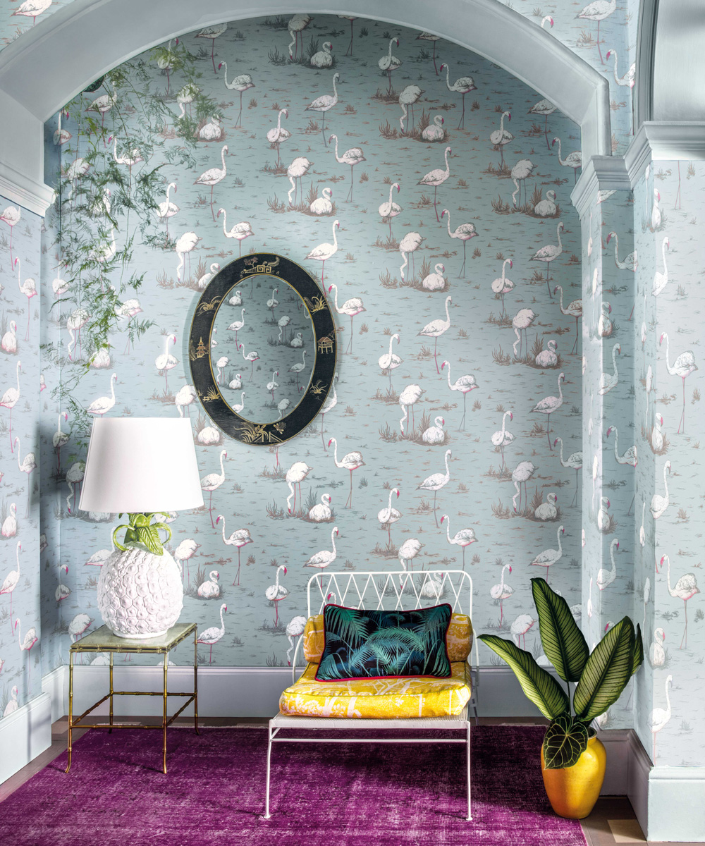 Cole and son contemporary collection