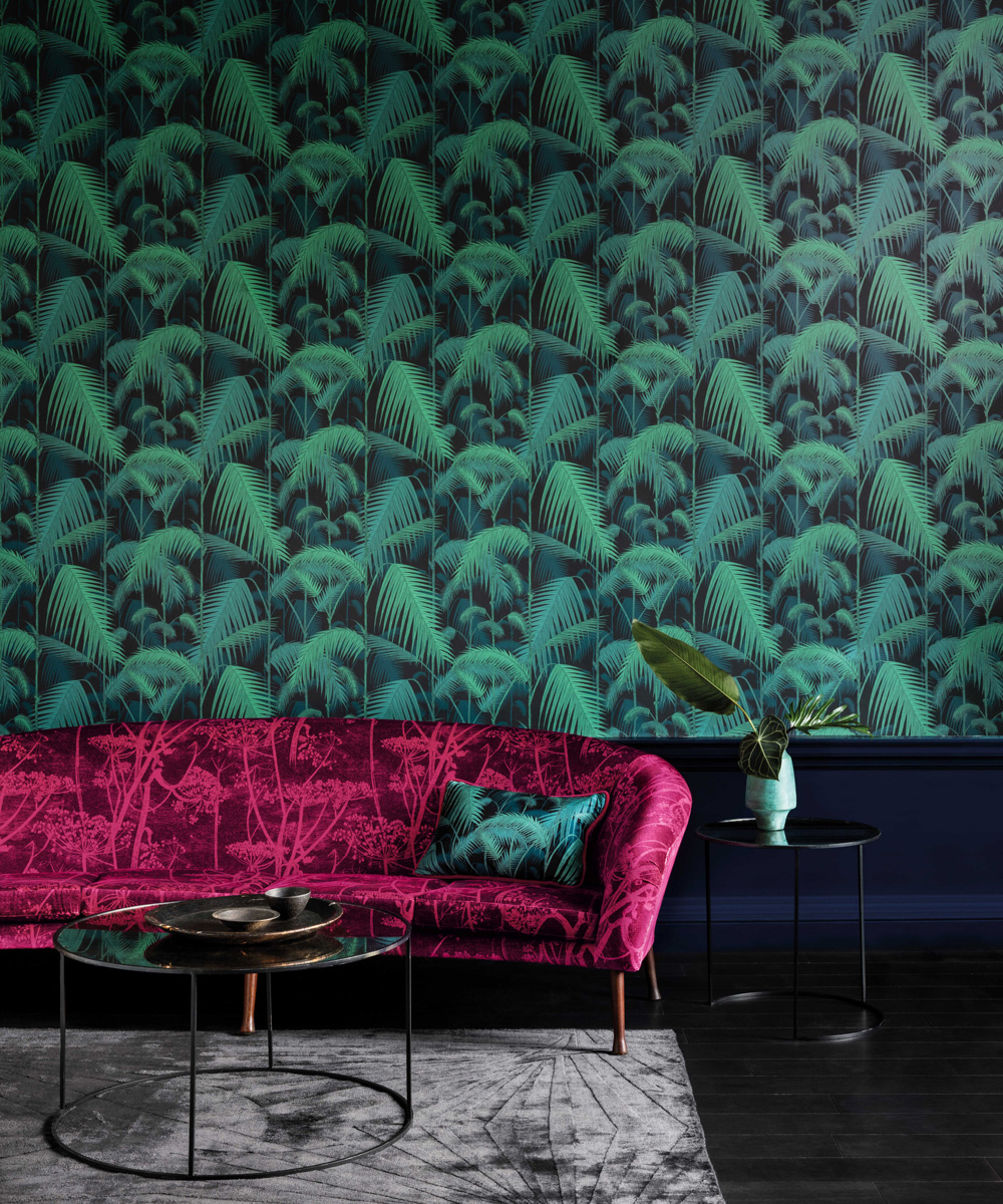 Cole and son contemporary collection